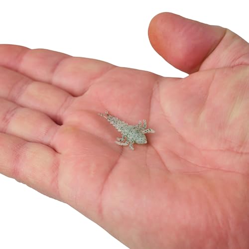 Berkley Gulp! Alive! Stonefly Fishing Soft Bait - color: Chive