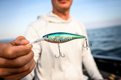 Berkley Flicker Shad Fishing Lure, Rainbow Trout, 5/16 oz, 2 3/4in | 7cm Crankbaits, Size, Profile and Dive Depth Imitates Real Shad, Equipped with Fusion19 Hook - color: Rainbow Trout, size: 2 3/4in - 5/16 oz