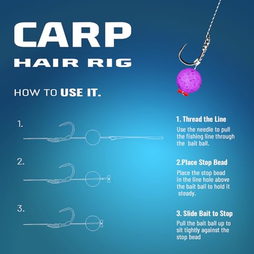 24 Pack Pre-Tied Carp Rigs with Sharp Hooks, Swivel & PE Line – Hook The Big One with Boilies, Pellets & Corn – The Ultimate Carp Fishing Equipment - color: #2,#4,#6,#8-24PACK