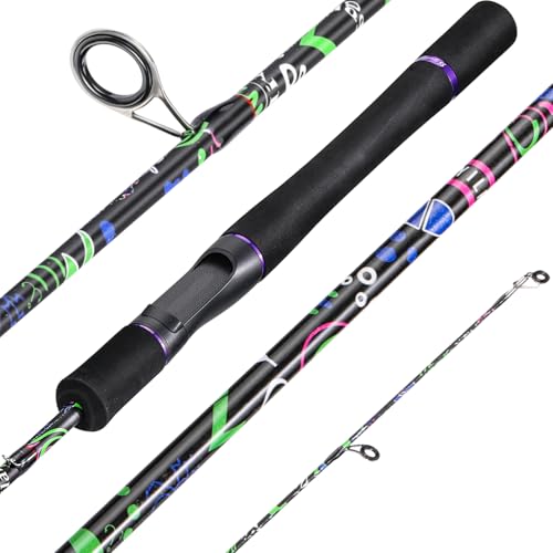 Sougayilang Fishing Rod, 2-Piece Graphite Composite Blank/Fiber Glass Spinning & Casting Rod with EVA Grip, Smooth Transition Fishing Pole - size: 6'0", style: Graphite Blank - Spinning Rod