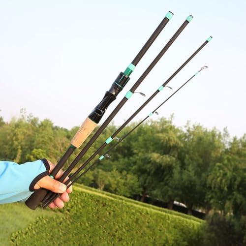 Spin & Casting Rods, Strong Carbon&Glass Composite Fishing Rod with Stainless Steel Line Guides for Bass, Trout, Panfish, Catfish(POLISHED SPIN 1.65M)