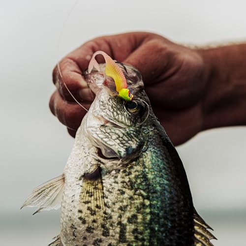 6th Sense – Clobber Minnow 2" – Soft Plastic Minnow – Crappie/Panfish Fishing – FFS Sonar Bait – (12 per Pack) Made in the USA - color: Threadfin Shad