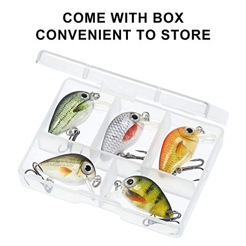 Skylety 10 Pieces Mini Fishing Lures Fishing Hard Baits Hooks Crankbaits Lures Baits Topwater Strong Sound for More Bites Freshwater Saltwater Trout Bass Perch with Box - style: Locust and Fish Series