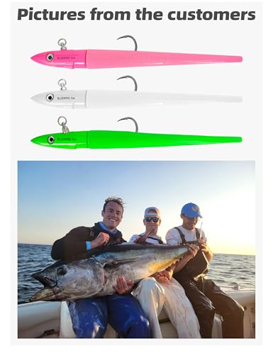 BLUEWING Jig Heads Saltwater 2oz,3oz,4oz,5oz,6oz,7oz Swimming Jigheads 1pc with High Carbon Steel Swing Hook and 6in/9in Replacement Tail Big Game Fishing Lures - color: Swimming Jig - Pink, size: 4oz Head - 9in Tail