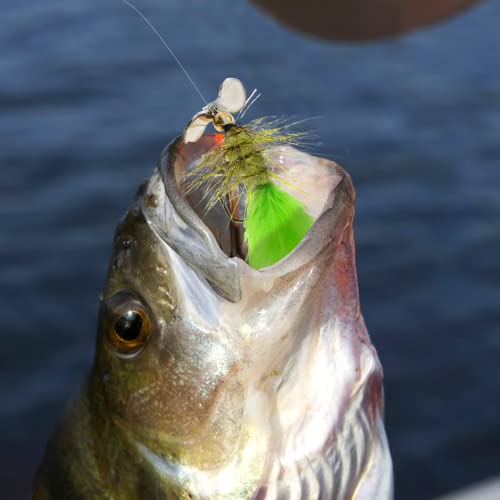 Fly Fishing Poppers Fly Fishing Dry Flies Topwater Fishing Lures Bass Popper Flies Bugs Lures Panfish Bait Fly Trout Bobber Flies Kit for Bass Trout Panfish Bluegill Salmon - color: C: 5pcs Hand Tied Fly Fishing Flies