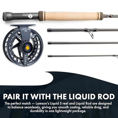 LAMSON | Liquid S-Series Fly Fishing Reel 3 Pack | All-Water | 1 Reel & 2 Bonus Spools + Carrying Case | Large Arbor, Powerful Sealed Drag, Pressure Cast Aluminum - color: DAYBREAK, size: -9+
