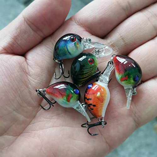 Micro Fishing Lures Crankbaits Baits Lure，Mini Fishing Lure Swimbaits Micro Crank Baits Topwater Lures for Freshwater Saltwater Bluegill Pumpkinseeds Trout Perch with Tackle Boxes - color: M02