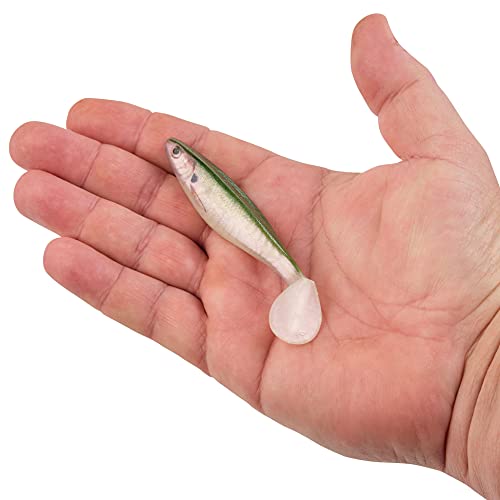 Berkley PowerBait The Champ Swimmer Fishing Soft Bait - color: HD Tennessee Shad, size: 3.8"