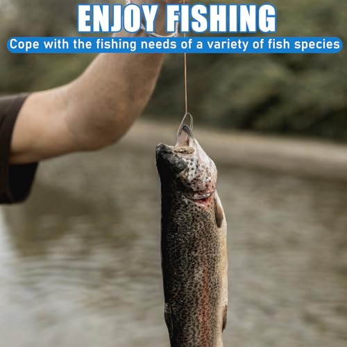 10 Pcs Weedless Wacky Rig Hooks Bass Fishing Hooks for Wacky Rigging Worm Lure Long Neck Hooks Anti-Hanging Bottom Mouthguard Fish Hook for Wacky Rigging Worm Lure 2/0