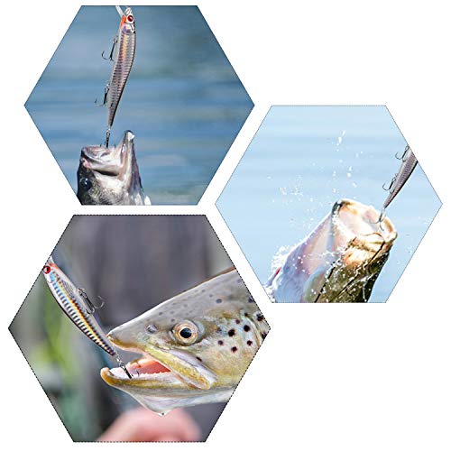 Saltwater Fishing Lures Kit - 6pcs Surf Sripers Saltwater Minnow Lures Jerkbait Popper Plugs Set Inshore Offshore Ocean Fishing Lures Tackle for Bass Trout