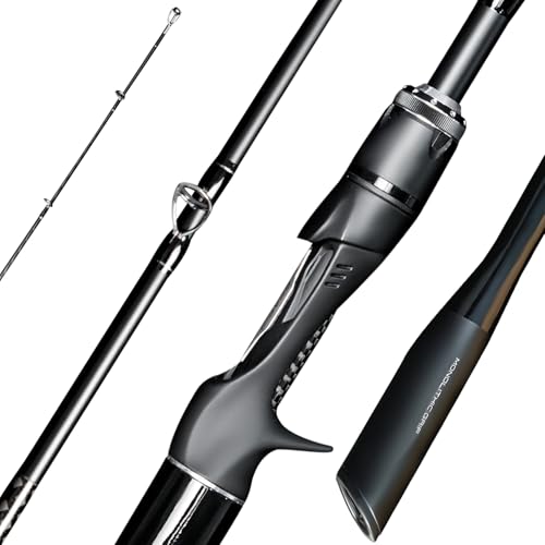 SEASIR Overcast Saltwater Fishing Rod, 2 Piece M/MH, Carbon Fiber | Freshwater Spinning Rod 6'6/7'6/8'/8'6, 36T Carbon Fiber, Fuji O, Bass Catfish Trout Rod - style: B802/2.44m-medium Heavy
