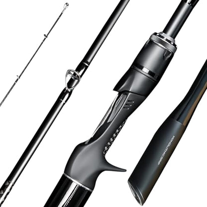 SEASIR Overcast Saltwater Fishing Rod, 2 Piece M/MH, Carbon Fiber | Freshwater Spinning Rod 6'6/7'6/8'/8'6, 36T Carbon Fiber, Fuji O, Bass Catfish Trout Rod - style: B802/2.44m-medium Heavy