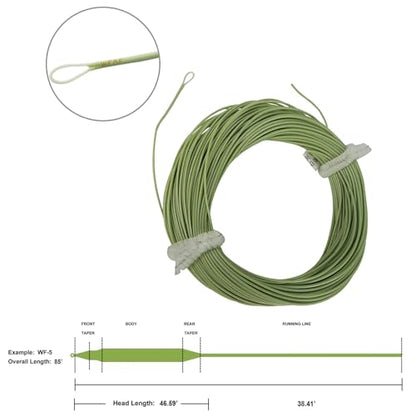 Aventik Fly Fishing Line Float Weight Forward Fly Line Fishing Trout Line Exposed Loop - color: Grass green, size: WF-3F