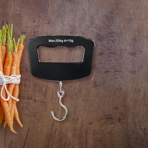 Portable Digital Handheld Fishing Scale with LCD Display, 50kg/10g Precision Electronic Hanging Weight Scale for Travel Luggage and Outdoor Fishing