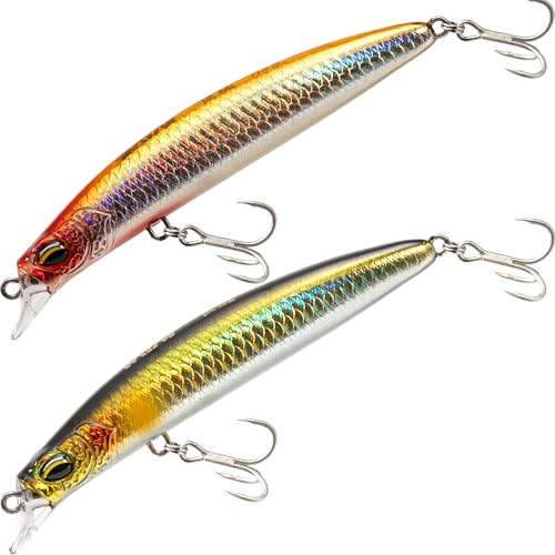Jerkbait Fishing Lure Minnow 119S, Slow Sinking Saltwater Surf Fishing Lures with Tungsten Weight, Long Cast System, Through-Wire Construction, BKK 4X Hooks, for Halibut Striped Bass Surf Perch
