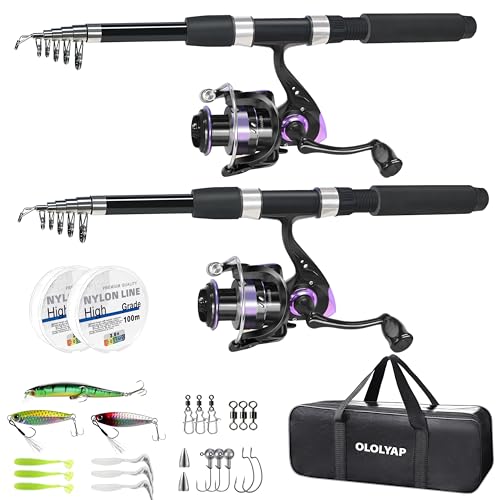 Fishing Pole Combo 2PCS Telescopic Fishing Rod and Aluminum Reel Combos with Carrier Bag Sea Saltwater Freshwater Fishing Rod Reel Kits