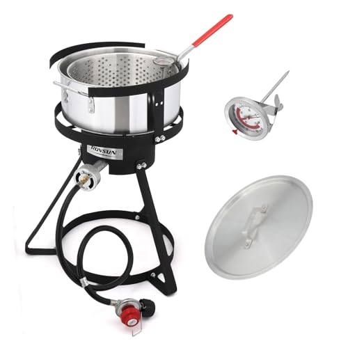 ROVSUN 10Qt Aluminum Fish Fryer Pot with Strainer Basket, Outdoor Fryer with 55,000 BTU Propane Gas Burner, Thermometer & Lid for Fish, Chicken Wings, Seafood Frying & Backyard Cooking - size: 10QT