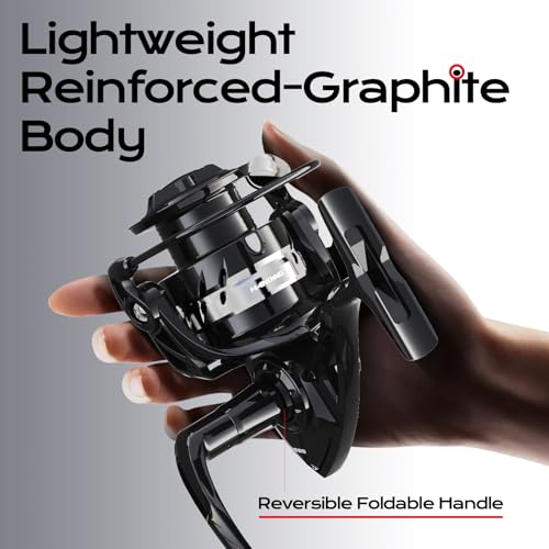 Handing LITE II Spinning Reels Freshwater Spinning Fishing Reels 14.33 Lbs Max Drag Ultra Smooth 5.2:1 Gear Ratio Aluminum Spool 3+1 BB Handle Interchangeable - size: Size 6000