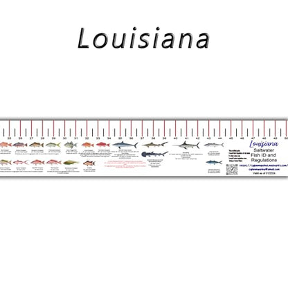 STATE COASTAL FISH RULER with FISH ID and FISHING REGULATIONS - 50 INCH RULER DECALS - style: Louisiana