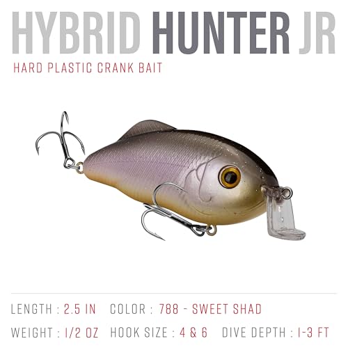 Strike King Hybrid Hunter Shallow Jr. Fishing Lure, Shallow Diving Crankbait, 90-Degree Bill, 3D Eyes, Loud Rattle, Dives 1 to 3-Feet,Size 4 & 6 Treble Hooks - color: Sweet Shad, size: 1/2 oz