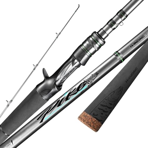 HANDING M1 Pike Heavy Fishing Rod Musky Rod 2-Piece Casting Rod with 30+24T Carbon Seaguide RA Guides Extended EVA Handle and Cork Base for Northern Pike Muskie Catfish Striped Bass Snook Skipjack - size: Cast 8' - Extra Heavy - Fast