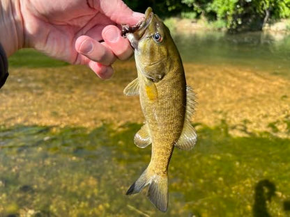 Rebel LIVEFLEX™ Hopper Soft Plastic - color: Siren Nymph