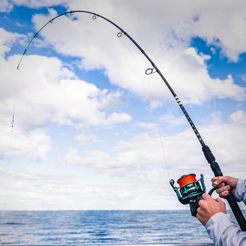 KastKing KONG Fishing Rod, Powerful, Lightweight S-Curve Graphite Rod Blanks, Nano Resin Technology, Stainless-Steel Double-Foot Guides w/Titanium Oxide Rings, Non-Slip Handles, Chartreuse Strike Tips - size: 8'0''-MH-Fast-2pcs, style: Spin
