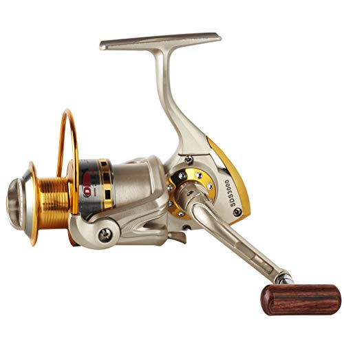 Diwa Spinning Fishing Reels for Saltwater Freshwater 1000 2000 3000 4000 5000 6000 Series Fishing Spool Left/Right Interchangeable Trout Carp Spinning Reel Light and Smooth - style: 5000