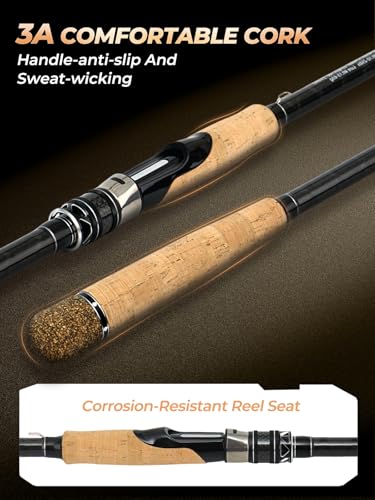 Jenseits Carbon Fiber Fishing Rod Series (6-12 Ft), Spinning & Casting Rods with Stainless Steel Ceramic Guides, Fast Action Fishing Pole for Bass, Trout, Walleye & Surf Fishing - size: 10'0"-Heavy-Fast-Black