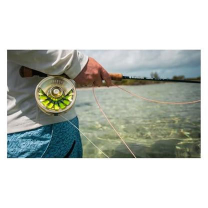 Redington Grande Fly Fishing Reel, Heavyweight Big Game Fly Reels, Freshwater and Saltwater, Super-Torque Drag System, Champagne, 9/10/11 - color: Champagne, size: 9/10/11