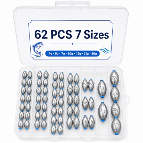 Egg Sinkers Fishing Weights Kit, 40/62pcs 6/7 Sizes Egg Sinker Assortment 1/8-1 oz, Slip Sinkers for Saltwater Freshwater Bass Catfish Fishing, Smooth Bore Lead Sinkers Weights with Tackle Box - size: 62 pcs / 7 Sizes