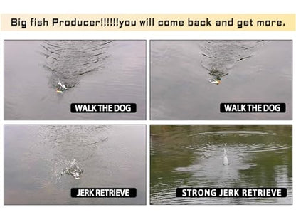 LITTMA Bass Fishing Topwater Popper Lures - Effective Top Water Lures for Bass Anglers - Durable Design for Catching Trophy Bass with High-Performance Popping Action - color: Bass