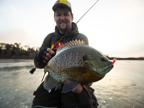Northland Tackle Rigged Tungsten Broom Bug Ice Fishing Jigs with Sharp Hooks, 2 Pre-Rigged Jig Heads & 3 Extra Ice Fishing Plastics, Tungsten Jig Heads for Panfish, 1/16 Oz, Tiger Beetle