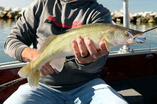 Bandit Lures Walleye Shad - color: Chrome Red Eye, size: WS1 (2-3/8")