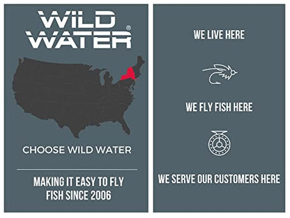 Wild Water Fly Fishing Egg Flies, Size 12, Qty. 6, for Trout, Steelhead, and Salmon - color: Lime Green Eggi Juan - Size 12 - 6 Pack