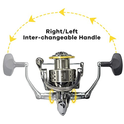 Fishdrops Saltwater Spinning Reel, 12+1BB Ultra Lightweight Powerful Fishing Reel, Metal Frame Carbon Fiber 33 LB Max Drag, 5.5:1 High Speed Ultra Smooth for Saltwater Fishing Reels - color: TW4000
