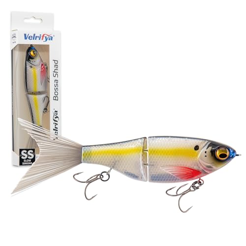 Bossa Shad Multi-Jointed Swimbait – Realistic Shad Profile with Natural Swimming Action for Bass Fishing - color: 02-Silver Bleed
