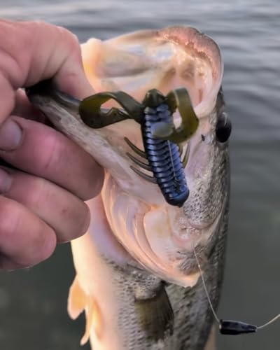Scutter Bug - color: Black Neon, size: 4.5"