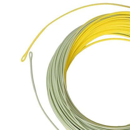 Trout Fly Fishing Line, Weight Forward Floating with 2 Welded Loops - color: Moss Green+ Gold, size: WF5F-100FT