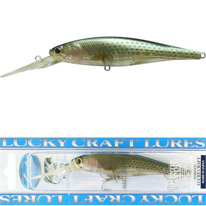 LUCKY CRAFT Pointer 100DD-S, Saltwater Surf Fishing Lures, Jerkbait, Halibut, Surf Perch, Calico Bass, White Seabass, Striped Bass, Sinking, Fishing Gear - color: 786 Ghost Olive Bora
