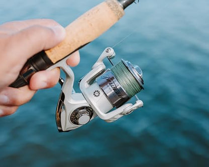 Pflueger Trion Spinning Reel - size: 30 - Clam, style: 2022 Model