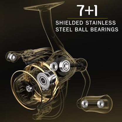 Ashconfish Spinning Fishing Reel, Graphite Body, 7+1 Stainless Steel BB, 5.0:1 Gear Ratio, Lightweight Spinning Reel for Freshwater Saltwater Fishing, Come with 109 yds Braided Line - size: AF4000B