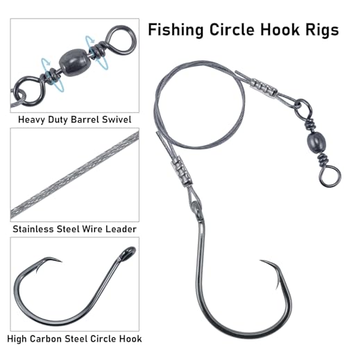 Dr.Fish 30 Pack Circle Hooks Rigs 12" Stainless Steel Wire Leader with 1/0-10/0 Snelled Octopus Hook Saltwater Leader Line Freshwater - size: 3/0-30 Pack