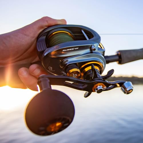 Piscifun Alinox 400 Baitcaster Fishing Reel, 38Lbs Max Drag Aluminum Alloy Frame Baitcasting Reel, Available in 6.6:1/8.1:1 Gear Ratio, Freshwater and Saltwater Low Profile Casting Reel for Musky - color: Gray - 8.1:1, style: Left Hand Retrieve