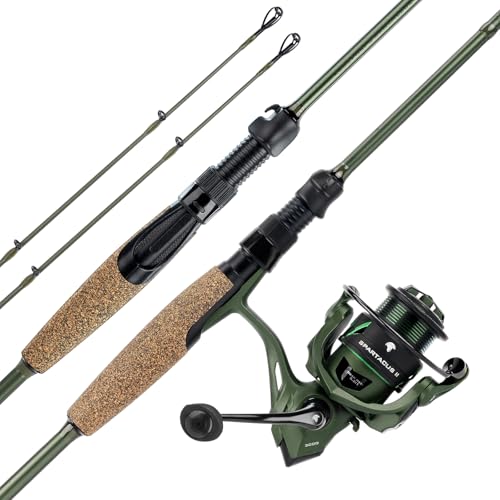 KastKing Spartacus II Twin-Tip Fishing Rod and Reel Combo, Spinning & Casting Combo, Fishing Poles and Reels Combo, KastFlex IM6 Graphite Blanks, 2-Piece Rods with Extra Tip - style: Spin-6'2'' Ml-2000 Reel (2 Pcs+ Extra Tip)