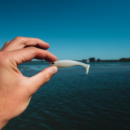 Nomad Design Live Ops Dozer 3” Minnow Unrigged Swimbait Soft Bait Lure, Slow-Speed High Vibration with Reactor-UV & Glow, Pink Floss (5 Pack), for Speckled Trout & Redfish