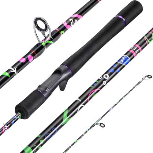 Sougayilang Fishing Rod, 2-Piece Graphite Composite Blank/Fiber Glass Spinning & Casting Rod with EVA Grip, Smooth Transition Fishing Pole - size: 6'0", style: Graphite Blank - Casting Rod