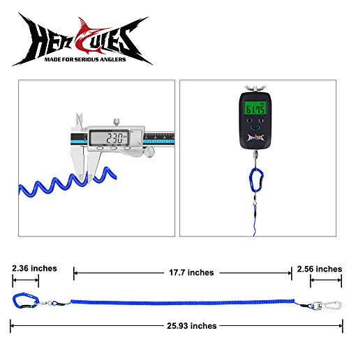 HERCULES M4 Fishing Lanyard, Fishing Pole Tether, Kayak Paddle Leash, Heavy Duty Retractable Coiled Lanyard for Fishing, Rods, Pliers, Boating, Paddles, Kayak - color: Pack of 2 Blue, 17.7" Plus