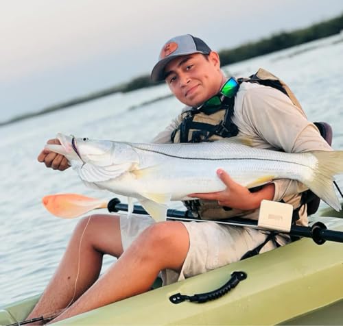 A.M. Fishing Curly Tail Jerkshad 4 Inch Soft Baits Garlic Infused,– 8 Pack – Saltwater & Freshwater Fishing Lures for Bass, Redfish, Snook, and Trout - color: Midnight Mullet
