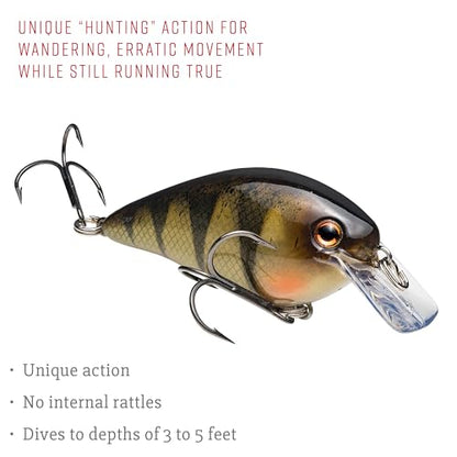 Strike King KVD Square Bill Pro-Model Crankbait - color: Yellow Perch